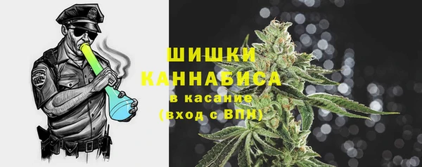 стаф Вязьма