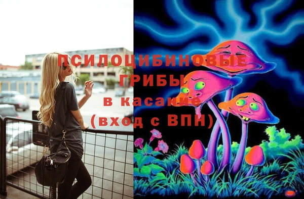 стаф Вязьма