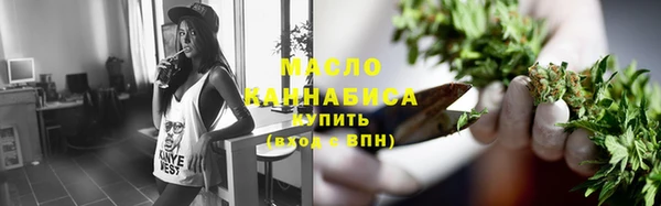 стаф Вязьма