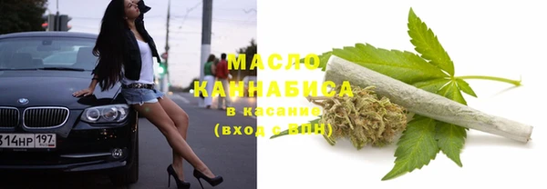 стаф Вязьма