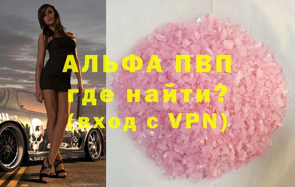 стаф Вязьма