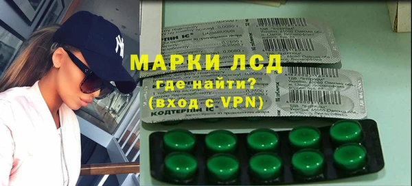 стаф Вязьма