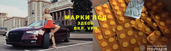 стаф Вязьма