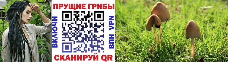 Галлюциногенные грибы мухоморы Чистополь